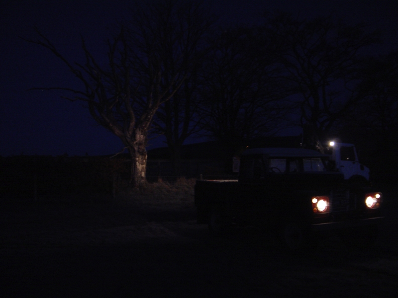 29th November 2008 002